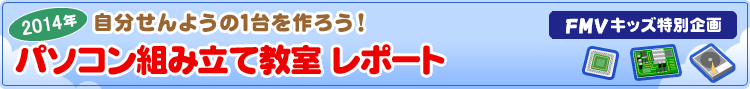 FMV�L�b�Y���ʊ�� 2014�N�p�\�R���g�ݗ��ċ������|�[�g