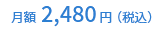 月額2,480円(税込)