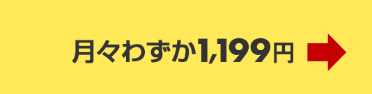 月々わずか1,199円