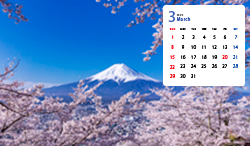 新倉山浅間公園の桜と富士山