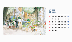 プロヴァンスの6月