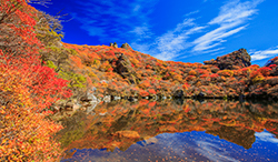大分県　くじゅう連山　紅葉の大船山　御池
