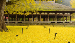 福島県　新宮熊野神社　長床
