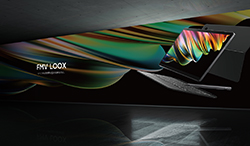 FMV LOOX