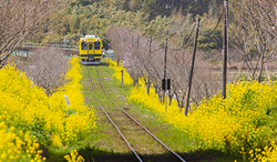千葉県　いすみ鉄道