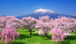 青森県　岩木川河川公園