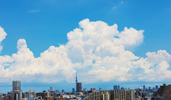東京都　入道雲と街並み