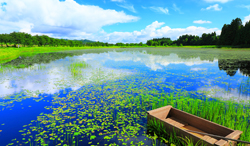 山形県 夏の大谷地沼と箱舟