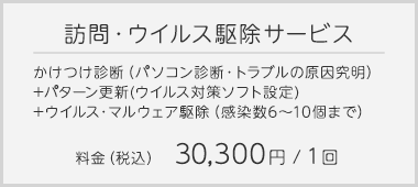 訪問・ウイルス駆除サービス…かけつけ診断(パソコン診断・トラブルの原因究明)＋パターン更新(ウイルス対策ソフト設定)＋ウイルス・マルウェア駆除(感染数6～10個まで)｜料金(税込)30,300円／1回