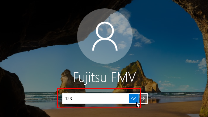 目玉のマークをクリックして、入力したパスワードが表示されている画面のイメージ