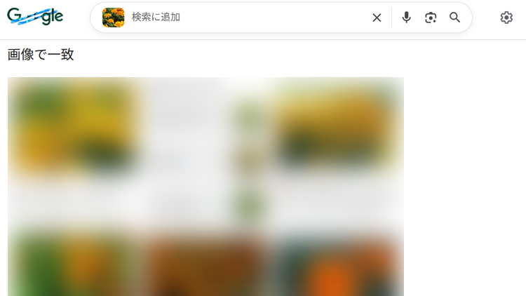 検索結果の画面イメージ
