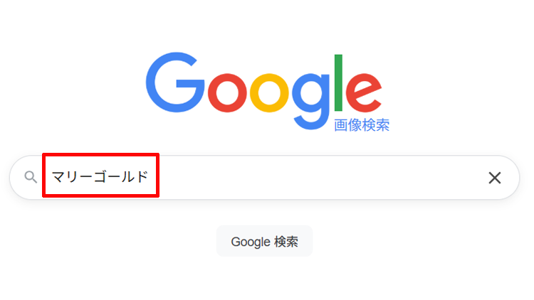 Google画像検索の画面のイメージ