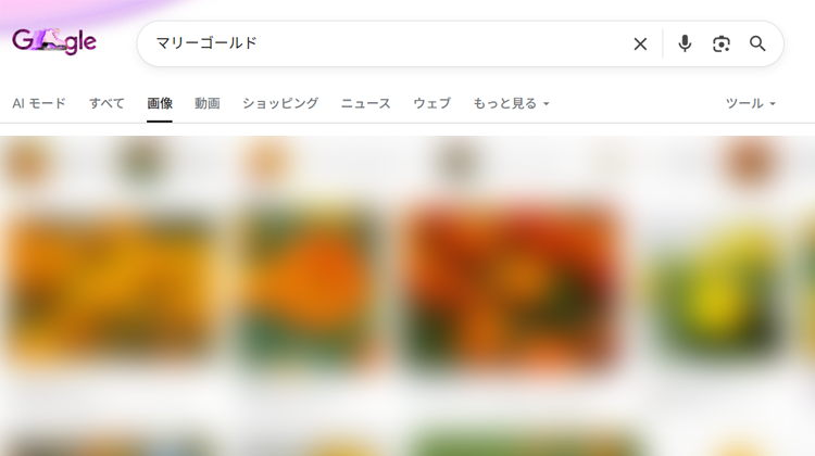 検索結果の画面のイメージ