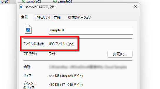 ファイルの種類を確認する画面イメージ