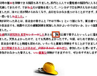 赤い下線付きで表示されていた挿入文字が削除されて、元に戻った画面イメージ