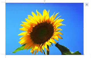 画像が挿入された画面イメージ