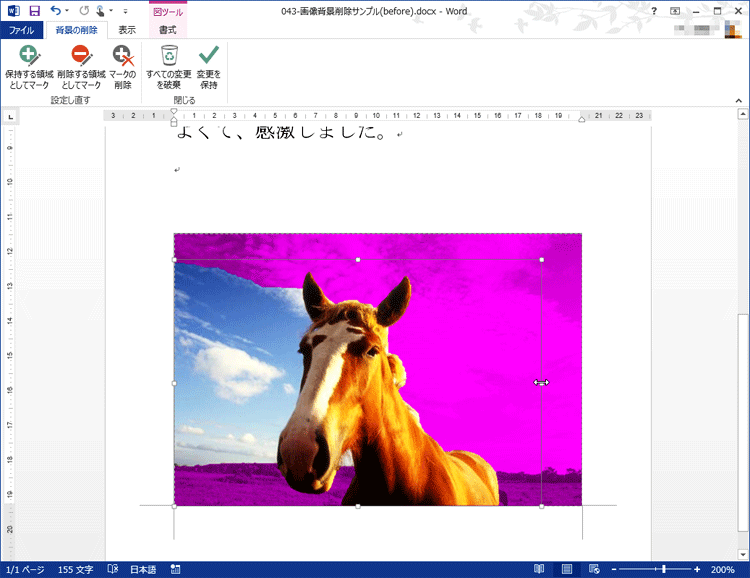 削除する領域と保持する領域が、自動的に設定されている画面イメージ