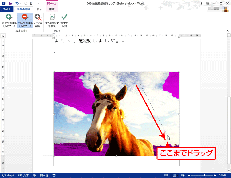 削除したい領域に線を引くようにドラッグしている画面イメージ
