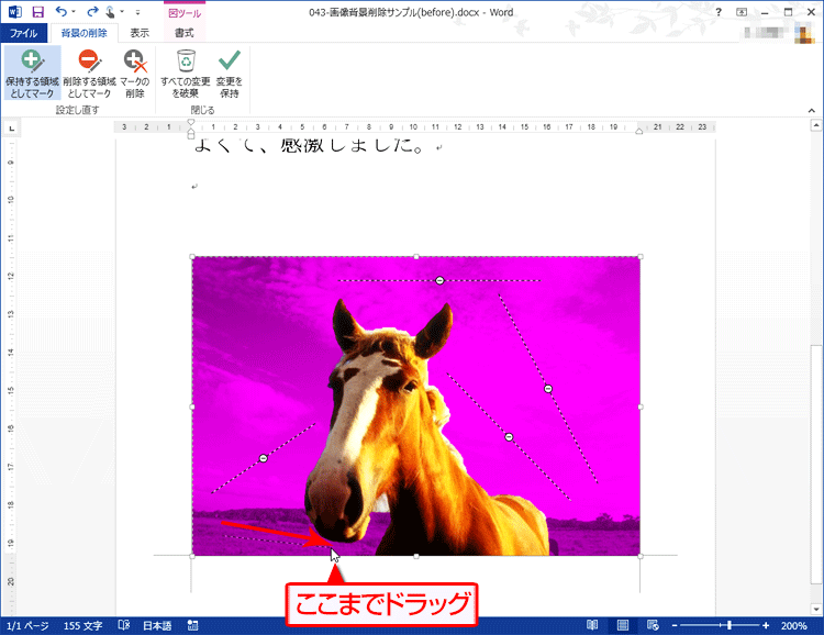 保持したい領域に線を引くようにドラッグしている画面イメージ