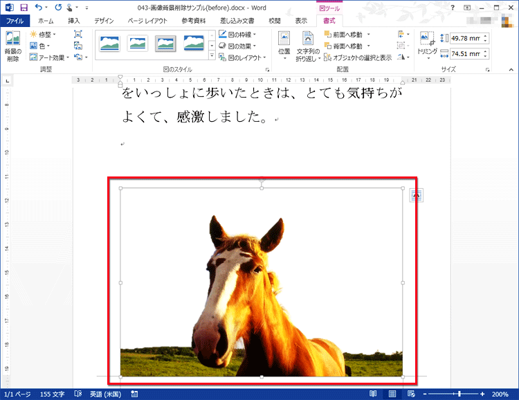 削除した領域に文字を配置できる状態の画面イメージ