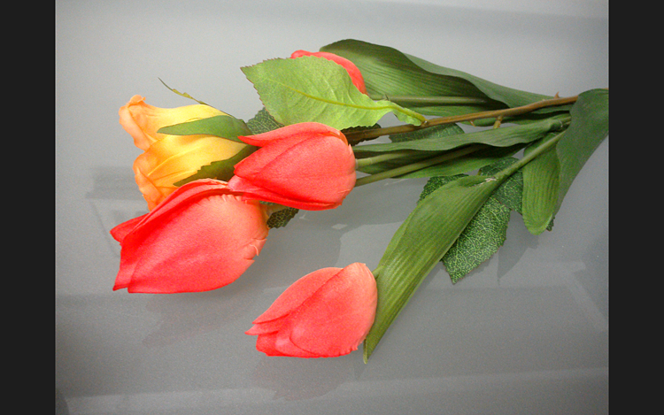 目的の写真の画面イメージ