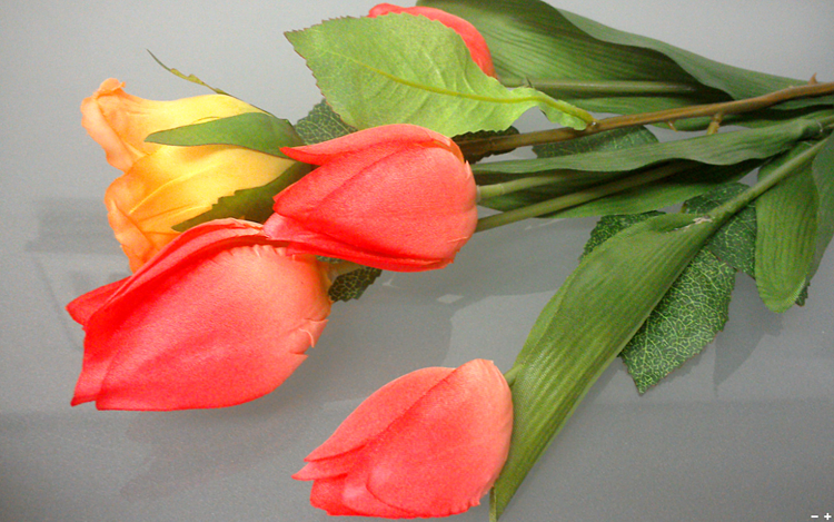 拡大の画面イメージ