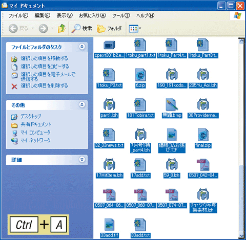 Ctrl�{A�ŁA�G�N�X�v���[�����̂��ׂĂ̍��ڂ�I���������