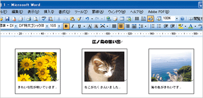 3つの画像がワード上で均等に並んでいる画像