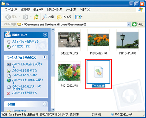 画像が格納されたフォルダに作成されたThumbs.dbファイルの画面